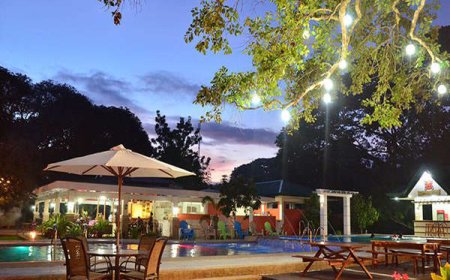 Ponce de Leon Embarks on Digitization of  Historic Museum Collection