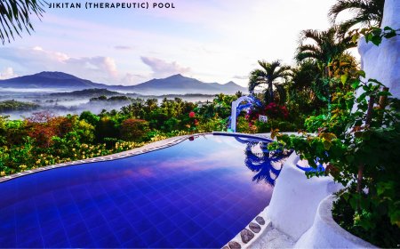 Palawan's Legent In Rehabilitation Stage - AI WORLD